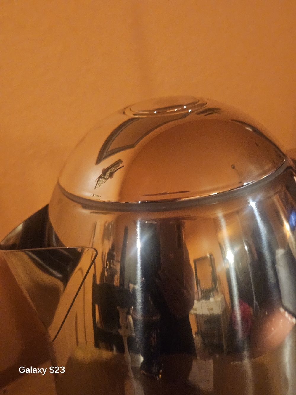 Stainless Steel Electric Kettle with Temperature Gauge - Chrome/Gray Handle - Picture 4 of 7